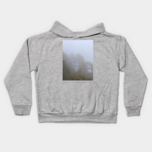 Evergreens in the Mist, Grand Canyon Kids Hoodie